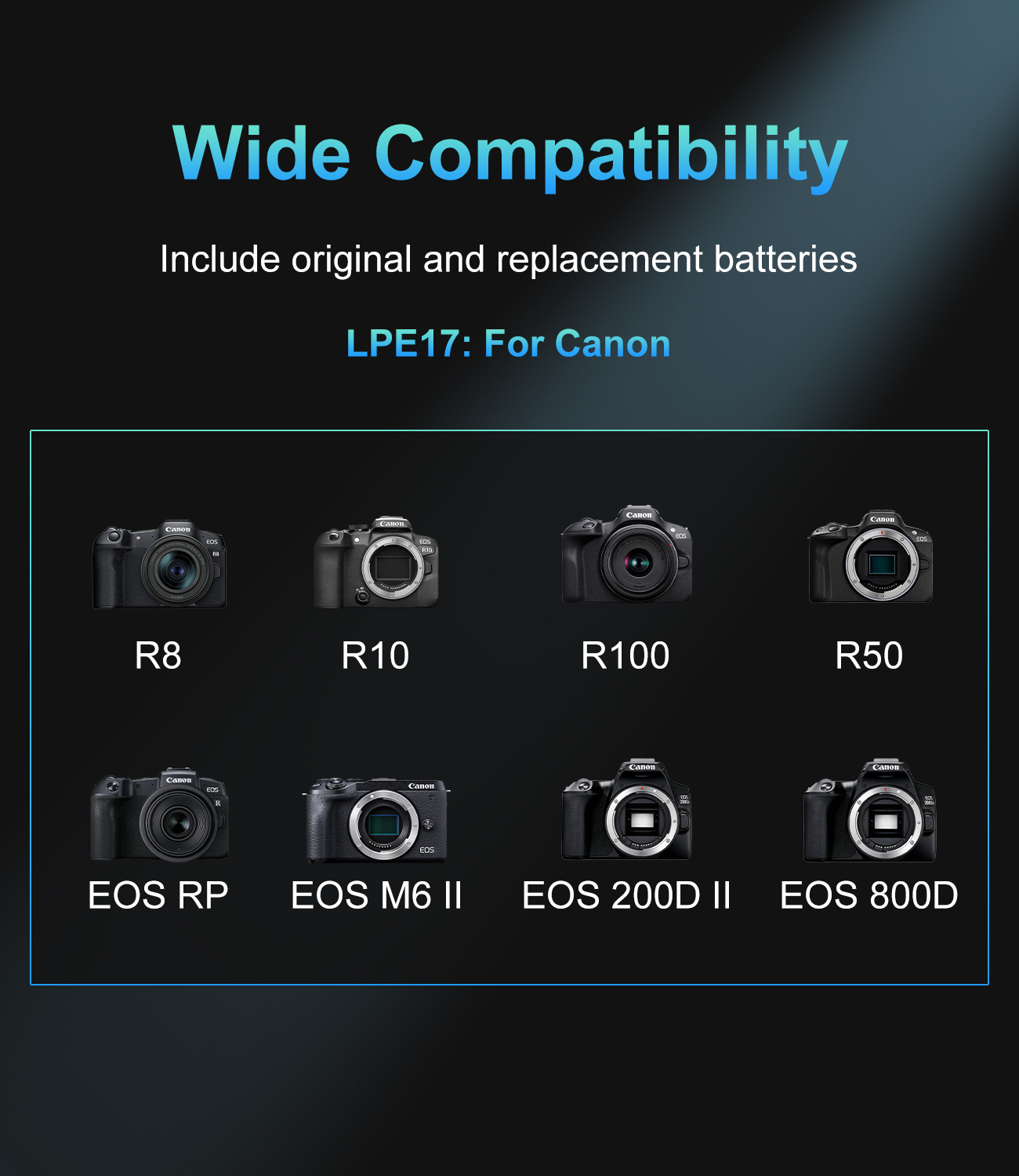 20W USB-C PD Dual Slot Charger - Canon Camera Eos R50 review and price
